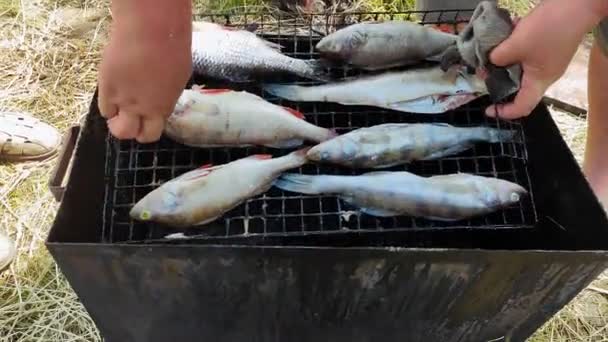 Mannelijke hengelaars zetten vis op de grill in het rookhuis. — Stockvideo