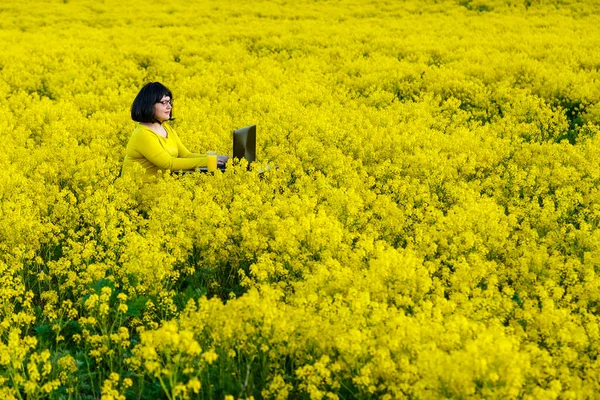 Freelancer de mulher jovem em um campo entre flores amarelas em uma mesa com suco e um computador . — Fotografia de Stock