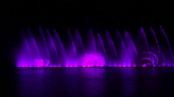 Nightly show of fountains shining with different colors and shapes and reflection in the water. — ストック動画