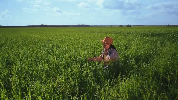 Agrónomos una mujer en un campo controla la calidad de los cultivos y registra observaciones — Vídeos de Stock