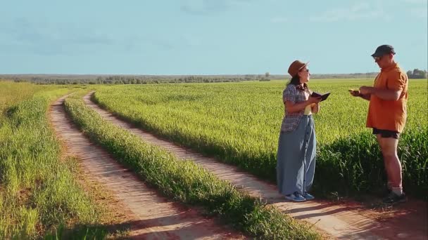 Agronomis seorang pria dan seorang wanita di tepi lapangan memeriksa tanaman — Stok Video