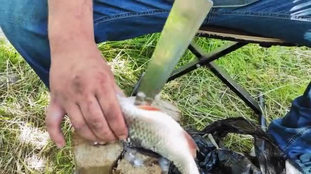 Ένας αρσενικός ψαράς σφάζει ένα αλιευμένο ψάρι στη φύση. — Αρχείο Βίντεο