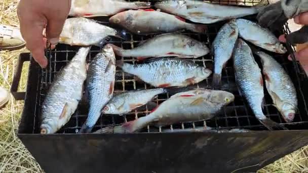 Pescadores do sexo masculino colocar peixes na grelha no fumeiro — Vídeo de Stock