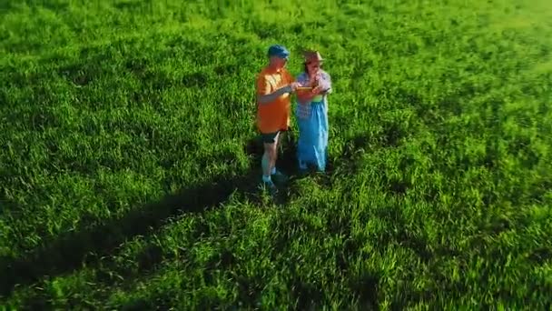 Agronomi un uomo e una donna in un campo ispezionare raccolti di raccolti e registrare osservazioni — Video Stock