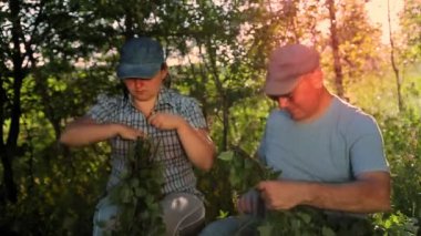 Ormanda bir kadın ve bir erkek huş dallarından banyo süpürgesi yapıyorlar. Güneşe maruz kalma.