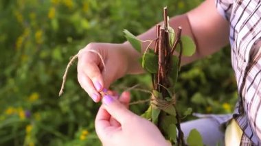 Dişi eller huş dallarını ince bir iple bağlar..