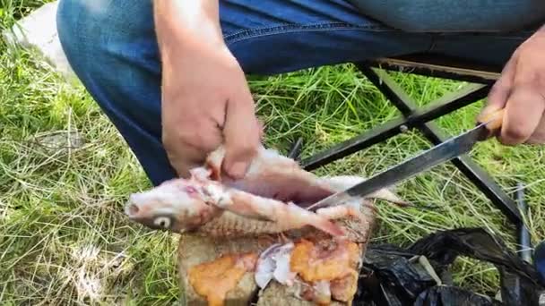 Un pescatore maschio sta tagliando un pesce pescato vicino a un fiume. — Video Stock