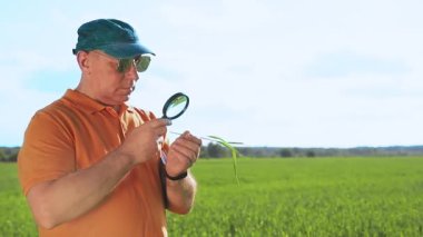 Agronomist tarladaki bir adam ekinleri değerlendirir ve sonucu yazar..