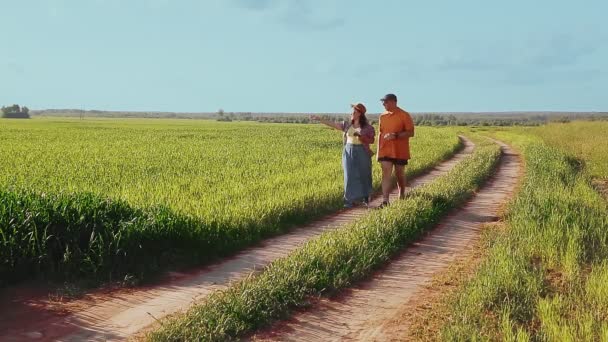 Agronomistas um homem e uma mulher caminham ao longo da borda do campo e inspecionam as colheitas . — Vídeo de Stock