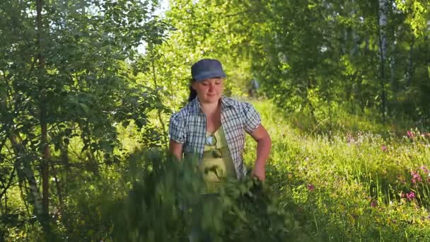 Een vrouw in het bos danst met armvol berken takken. — Stockvideo