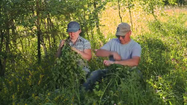 En kvinna och en man i skogen gör badkvastar av björk grenar på en solig dag — Stockvideo