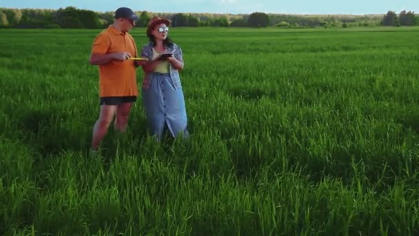 Agronomistas um homem e uma mulher no campo verificar as colheitas e registro — Vídeo de Stock