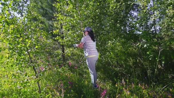 Una mujer en el bosque corta con una herramienta ramas de abedul para escobas para un baño y una sauna — Vídeos de Stock