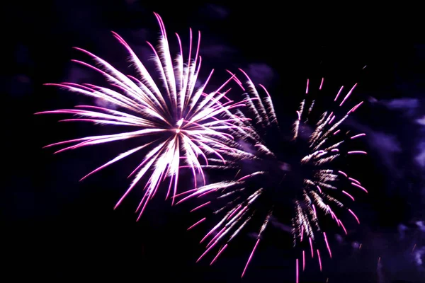 Purple sparks of a bright firework in the night sky. Royalty Free Stock Images