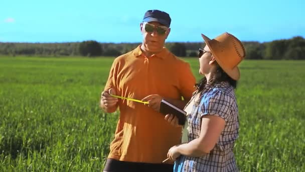 Агрономы мужчина и женщина в поле осматривают посевы и записывают отчет — стоковое видео