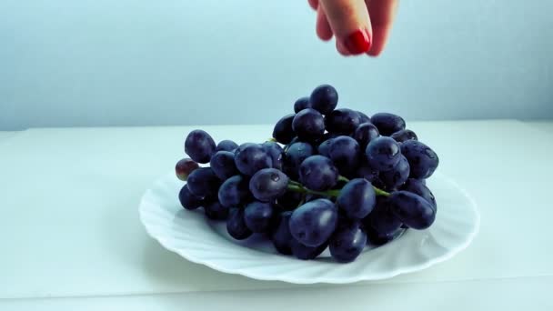 Egy női kéz elveszi a sötét szőlő bogyót egy fehér tányérról egy csomó — Stock videók