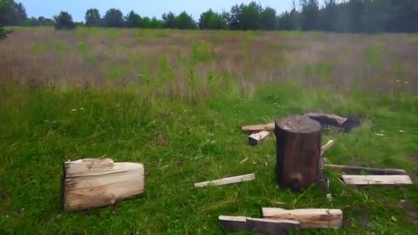 Widok z góry ognisko i garnek obok drewna na opał i siekiera na polanie — Wideo stockowe