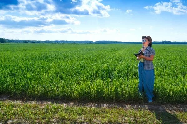Kvinnlig agronomist ingenjör i fält kontrollera grödor. — Stockfoto