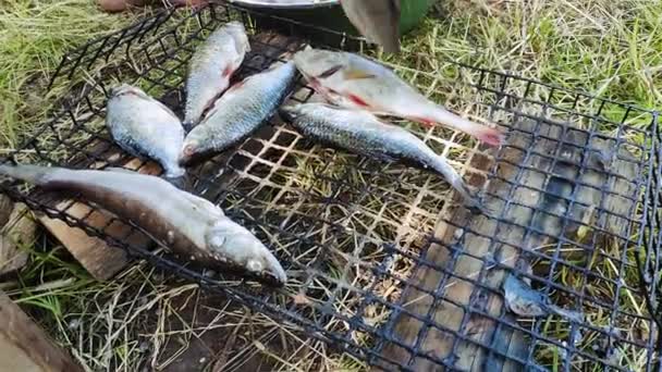 Pescadores do sexo masculino colocar peixes na grelha para fumar — Vídeo de Stock