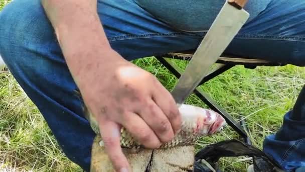 Un pescatore maschio sta tagliando un pesce pescato vicino a un fiume. — Video Stock