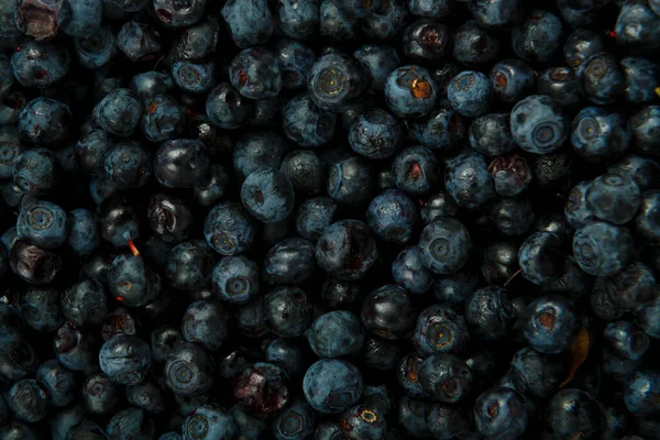 Blueberry berries scattered on a smooth turn. — Stock Photo, Image