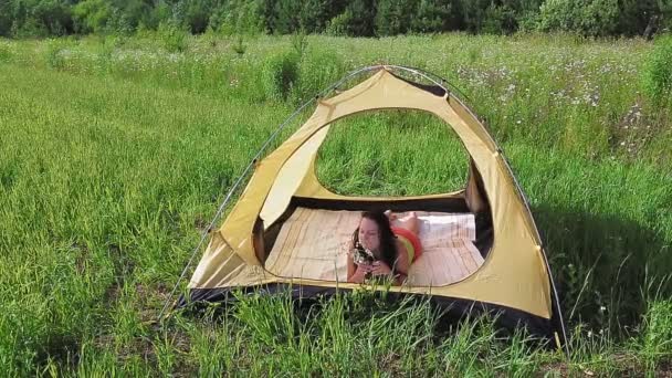 I ett tält på morgonen utomhus njuter en ung kvinna av vilda blommor.. — Stockvideo