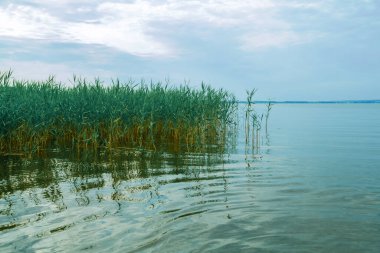 Yazın şafak vakti göl masmavi su ve gökyüzü.