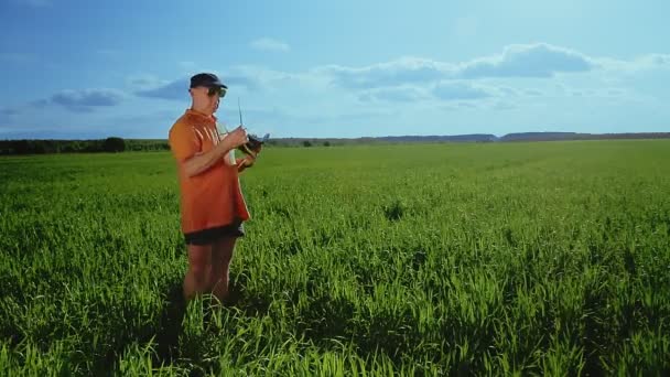 Агрономіст у полі вимірює параметри посівів . — стокове відео