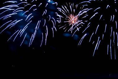 Gece gökyüzünde çiçekler şeklinde renkli havai fişekler..