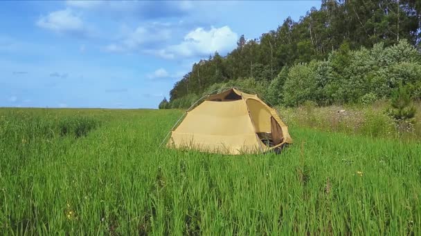 Namiot na polanie w słoneczny dzień, przez który przelatuje quadrocopter — Wideo stockowe