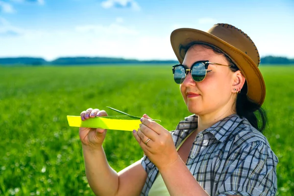 Güneş Gözlüklü Şapkalı Bir Tarımcı Kadın Ekinlerin Parametrelerini Ölçer Yatay — Stok fotoğraf