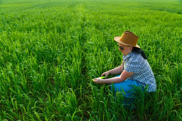 Kvinnlig Agronom Fältet Ägnar Sig Kvalitetskontroll Grödor Horisontellt Foto — Stockfoto