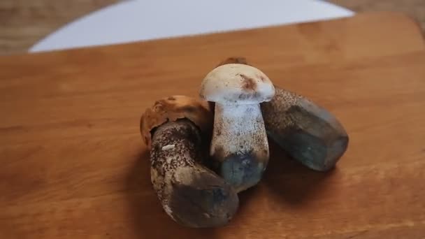木制木板上新鲜的蘑菇旋转成圆圈. — 图库视频影像