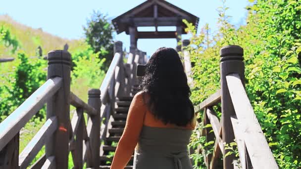 Μια γυναίκα ταξιδιωτικός blogger λέει ένα blog από μια σκάλα που οδηγεί στην κορυφή του βουνού. — Αρχείο Βίντεο