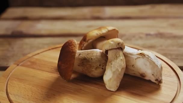 Friske porcini svampe på en træplade rotere i en cirkel. – Stock-video