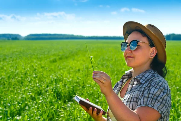 Uma mulher agrônomo verifica a qualidade das culturas e registra o resultado . — Fotografia de Stock