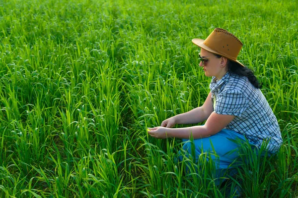 En kvinnlig agronomer på fältet ägnar sig åt kvalitetskontroll av grödor. — Stockfoto