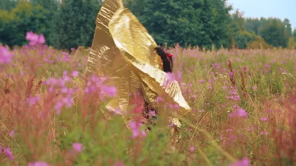 Una donna in forma di demone in un corsetto nero con ali d'oro appare nel campo dall'erba alta.. — Video Stock