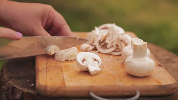 Eine weibliche Hand schneidet Pilze mit einem Messer auf einem Holzbrett bei einem Picknick — Stockvideo