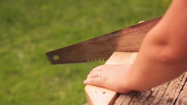 Una mano de mujer sostiene una sierra y corta tablas en un soporte. — Vídeos de Stock