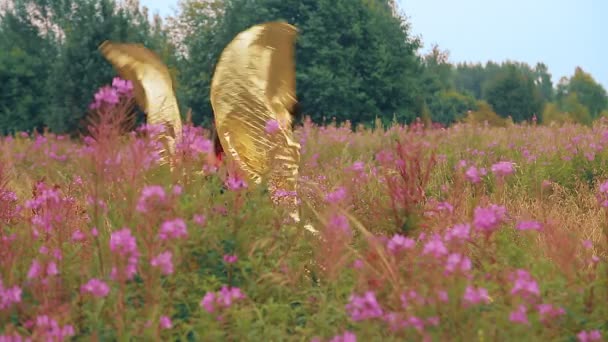 검은 코르셋에 금 날개가 달린 악귀의 모양을 한 여자가 키큰 풀에서 들에 나타난다. — 비디오