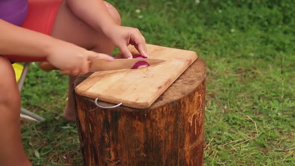 Frau schneidet bei Picknick Zwiebel mit Messer auf Holzbrett. — Stockvideo