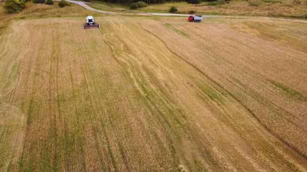 Erntemaschinen auf dem Feld ernten reifes Getreide. — Stockvideo