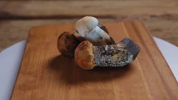 Fresh boletus mushrooms on a wooden board rotate in a circle. — Stock Video