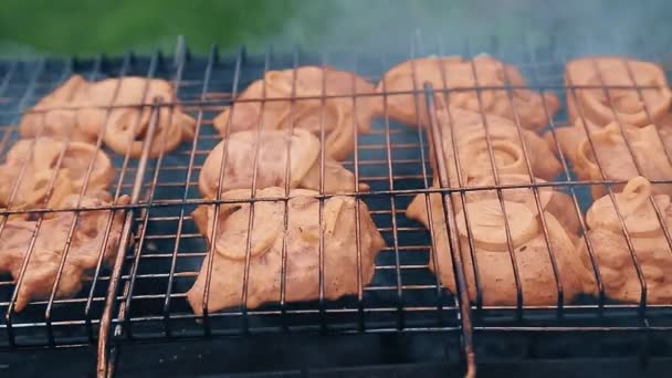 La carne in salsa di soia viene grigliata su una griglia a carbone. — Video Stock