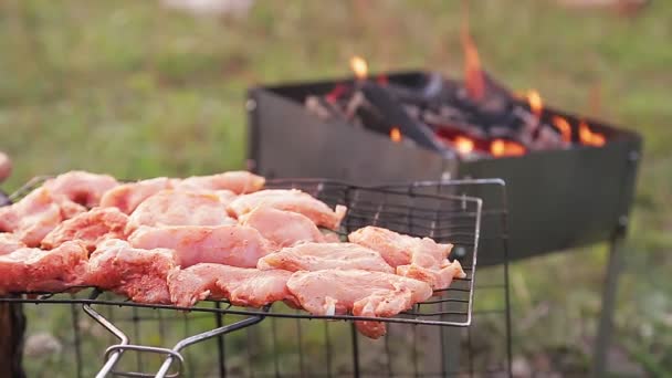 En kvinnes hånd ved peisen om kvelden legger kylling på grillen for grillmat.. – stockvideo