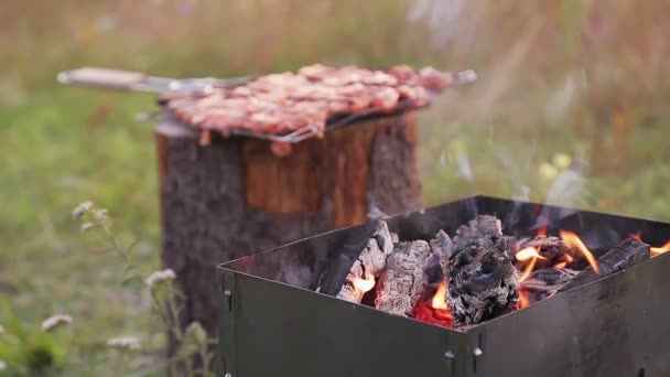 Bonfire i obok rusztu grilla z mięsem przesunięcie ostrości na mięso — Wideo stockowe