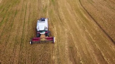 Tarladaki bir biçerdöver olgun mahsulleri hasat ediyor..