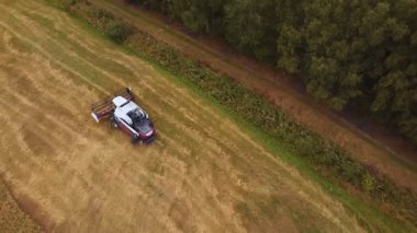 Bir biçerdöver tarlada olgunlaşmış tahıl toplar..