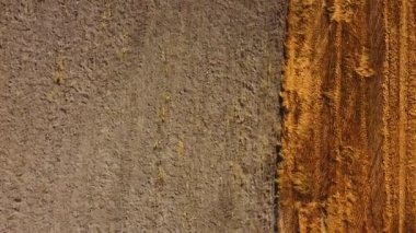 Tarlanın yarısı sabanla tarlaya sürülmemiş dörtgen vuruşunun bir kısmı...